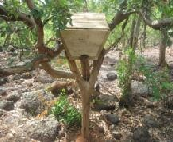 Biodiversité